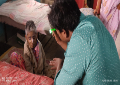 Sai Chaitanya Foundation